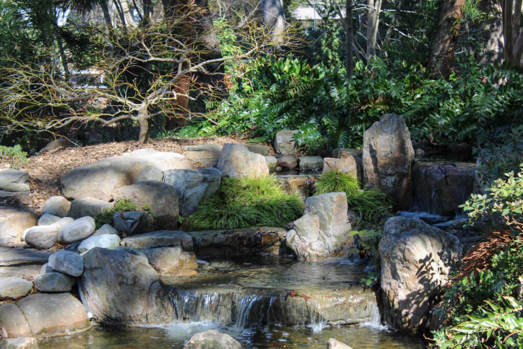 Wilmington Arboreteum