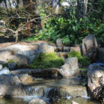 Wilmington Arboreteum